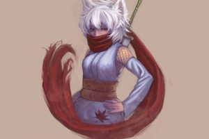 video, Games, Touhou, Brown, Weapons, Animal, Ears, Red, Eyes, Short, Hair, Scarfs, White, Hair, Inubashiri, Momiji, Gray, Hair, Japanese, Clothes, Simple, Background, Inumimi, Anime, Girls, Detached, Sleeves, S