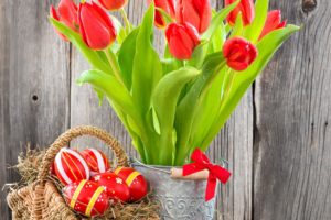 flowers, Eggs, Tulips, Basket, Easter, Eggs, Easter, Red