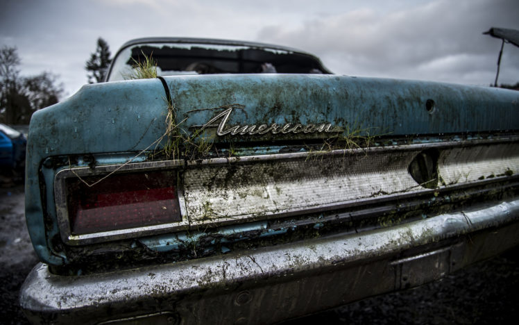american, Classic, Car, Classic, Overgrowth, Abandon, Deserted, Urban, Decay, Tail, Light, Grass, Dirty HD Wallpaper Desktop Background