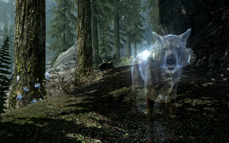 skyrim, Elder, Scrolls, Cg, Digital, Art, Screenshot, Animals, Wolf, Wolves, Landscapes, Nature, Forest, Trees, Fantasy HD Wallpaper Desktop Background