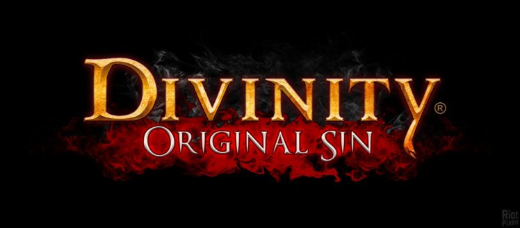 divinity original sin, Strategy, Rpg, Fantasy, Adventure, Sci fi, Divinity, Original, Sin HD Wallpaper Desktop Background