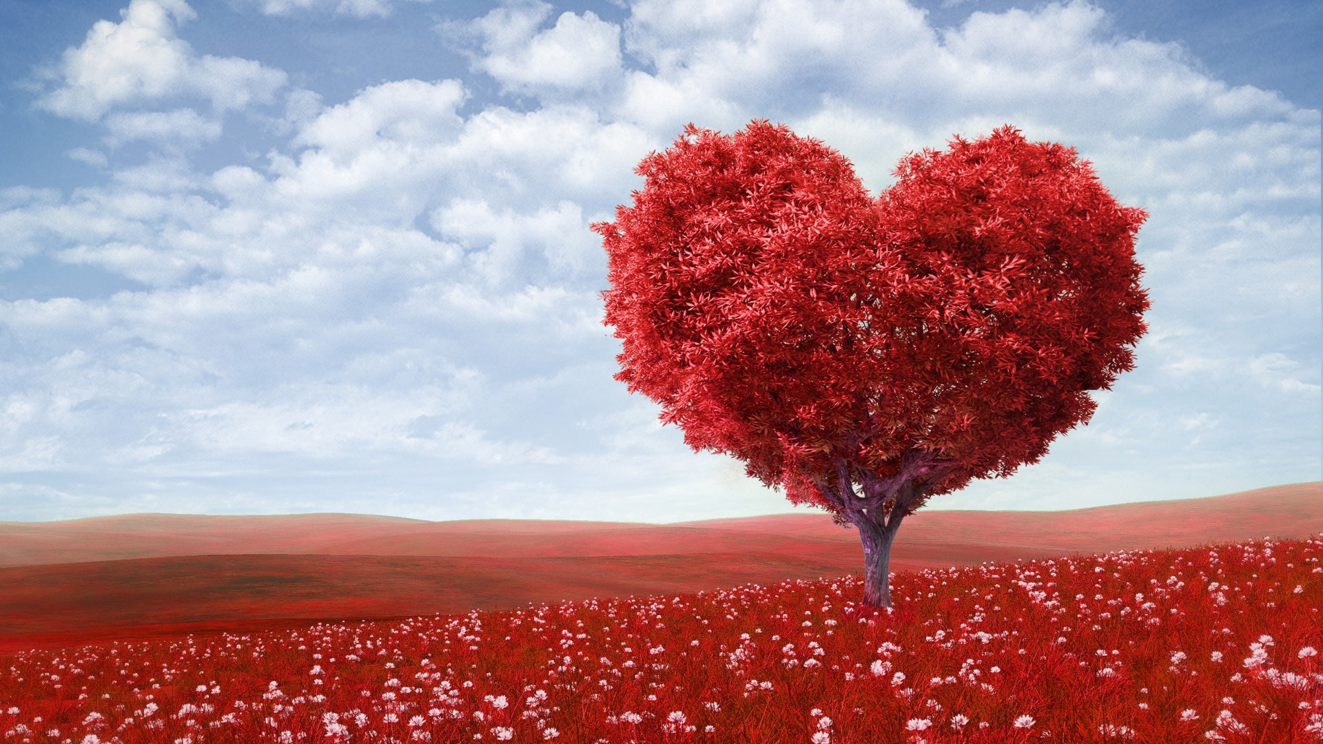 valentineand039s, Day, Love, Romance, Mood, Emotion, Heart, Trees, Landscapes, Fields, Flowers, Leaves Wallpaper