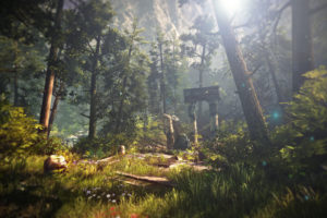 the, Witcher, Ruins, Landscape, Trees, Forest, Sunlight