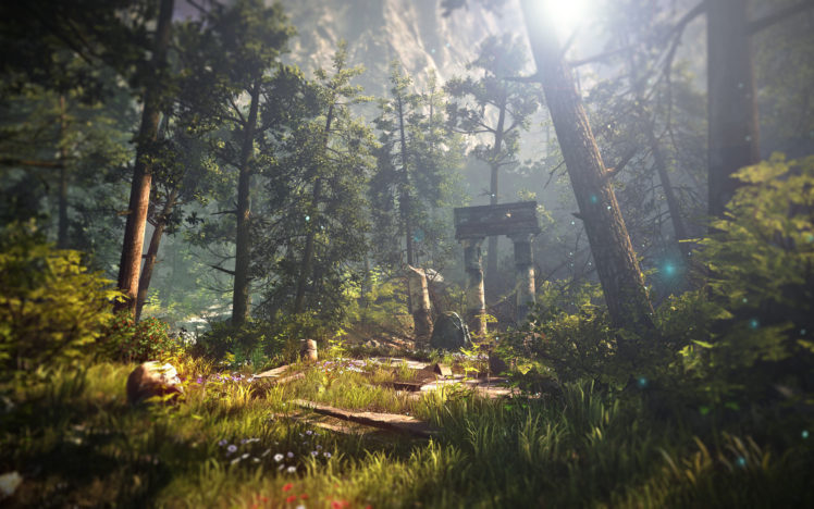 the, Witcher, Ruins, Landscape, Trees, Forest, Sunlight HD Wallpaper Desktop Background