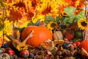 autumn, Trees, Nature, Landscape, Leaf, Leaves, Thanksgiving