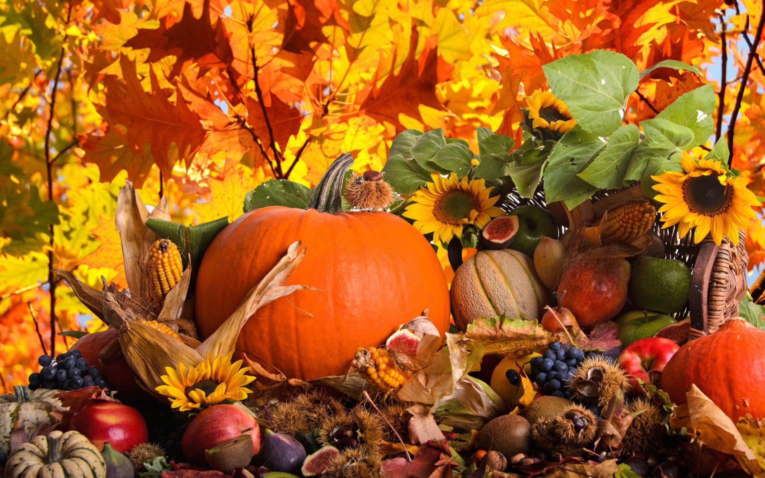 autumn, Trees, Nature, Landscape, Leaf, Leaves, Thanksgiving Wallpaper