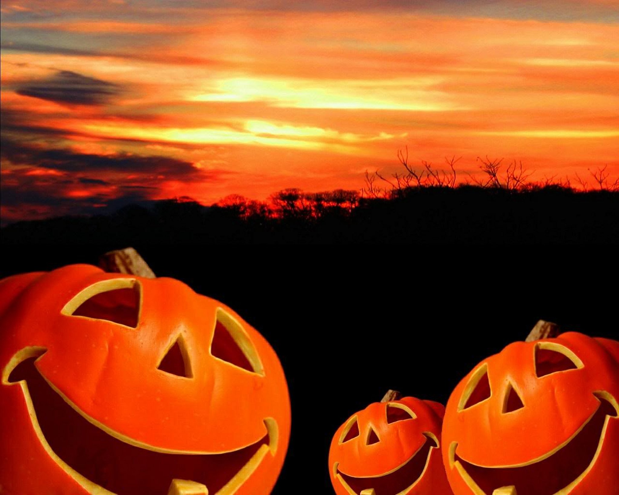 halloween, Citrouille, Pumpkin Wallpaper