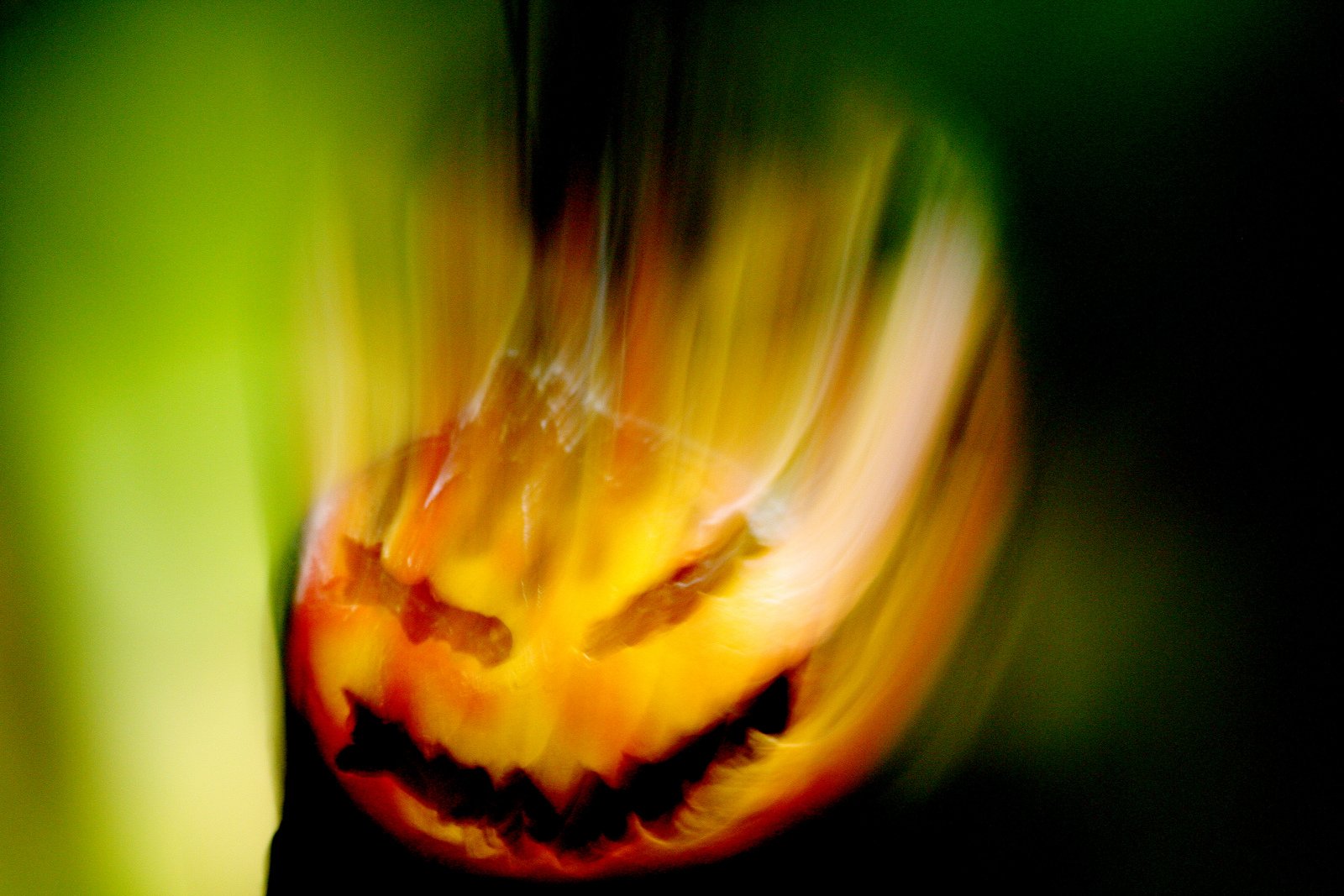 halloween, Citrouille, Pumpkin Wallpaper