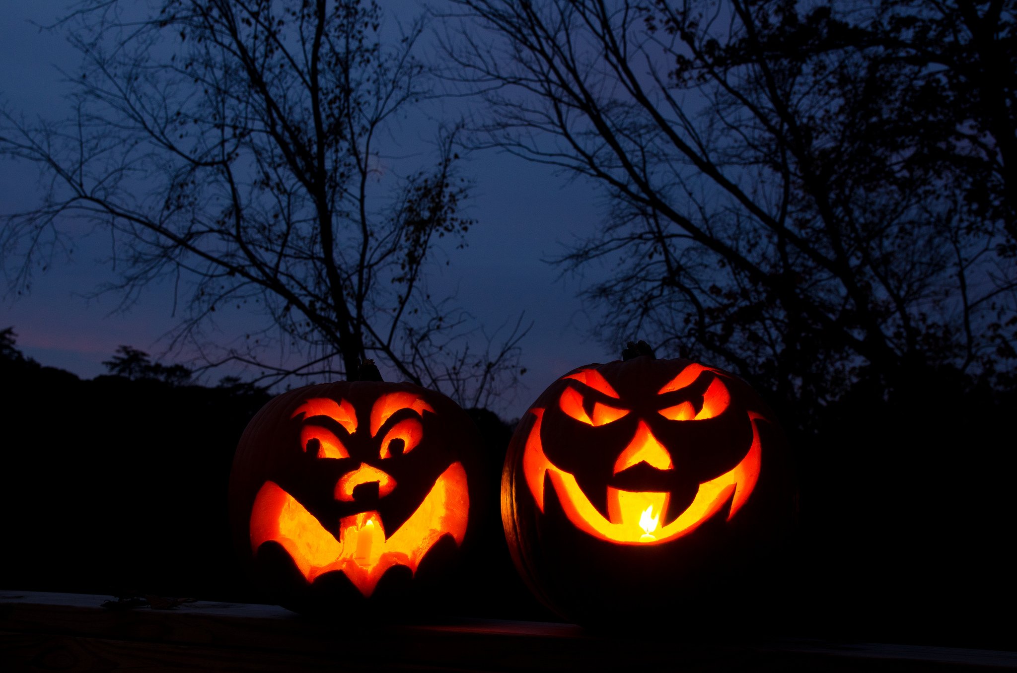halloween, Citrouille, Pumpkin Wallpaper