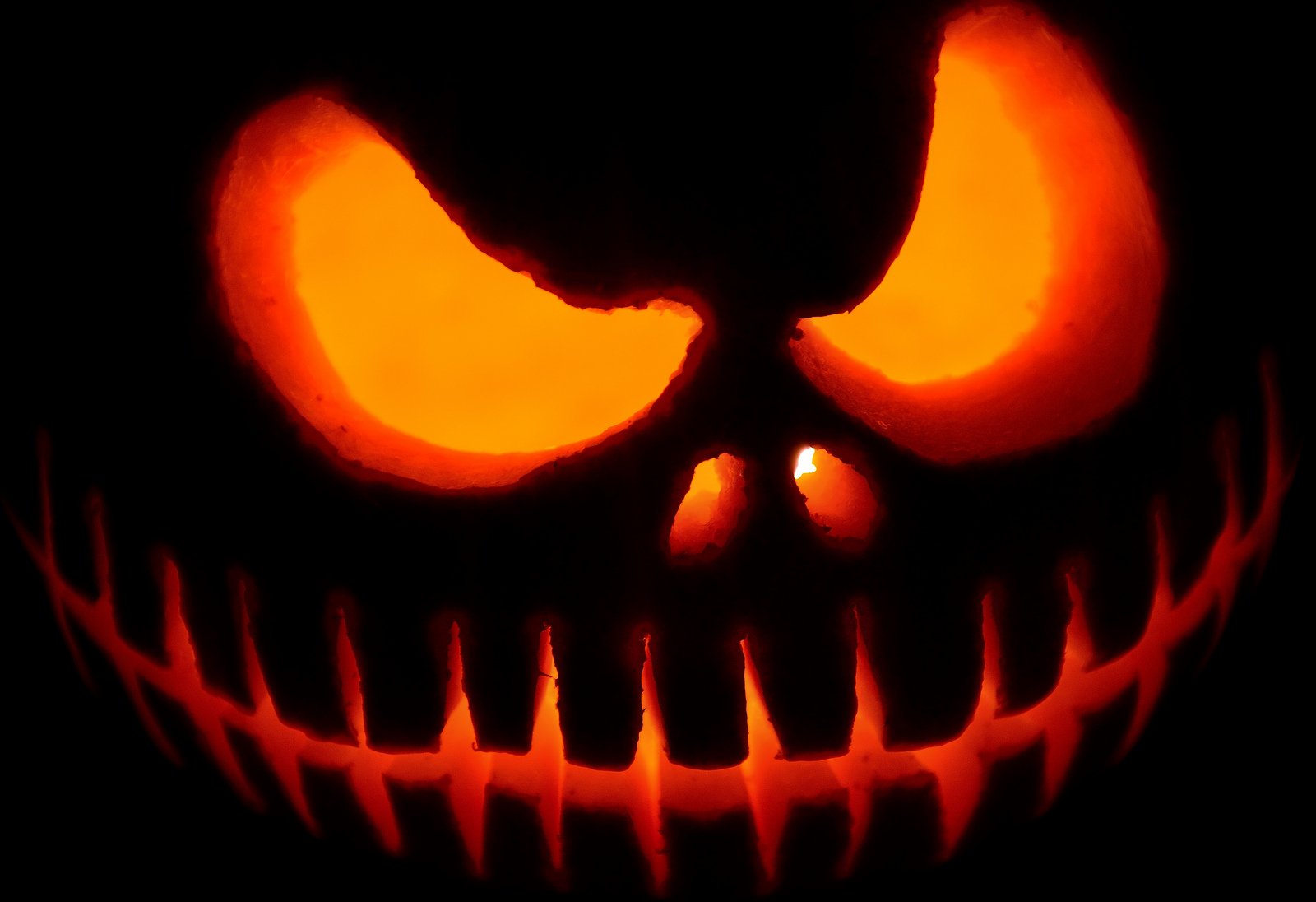 halloween, Citrouille, Pumpkin Wallpaper