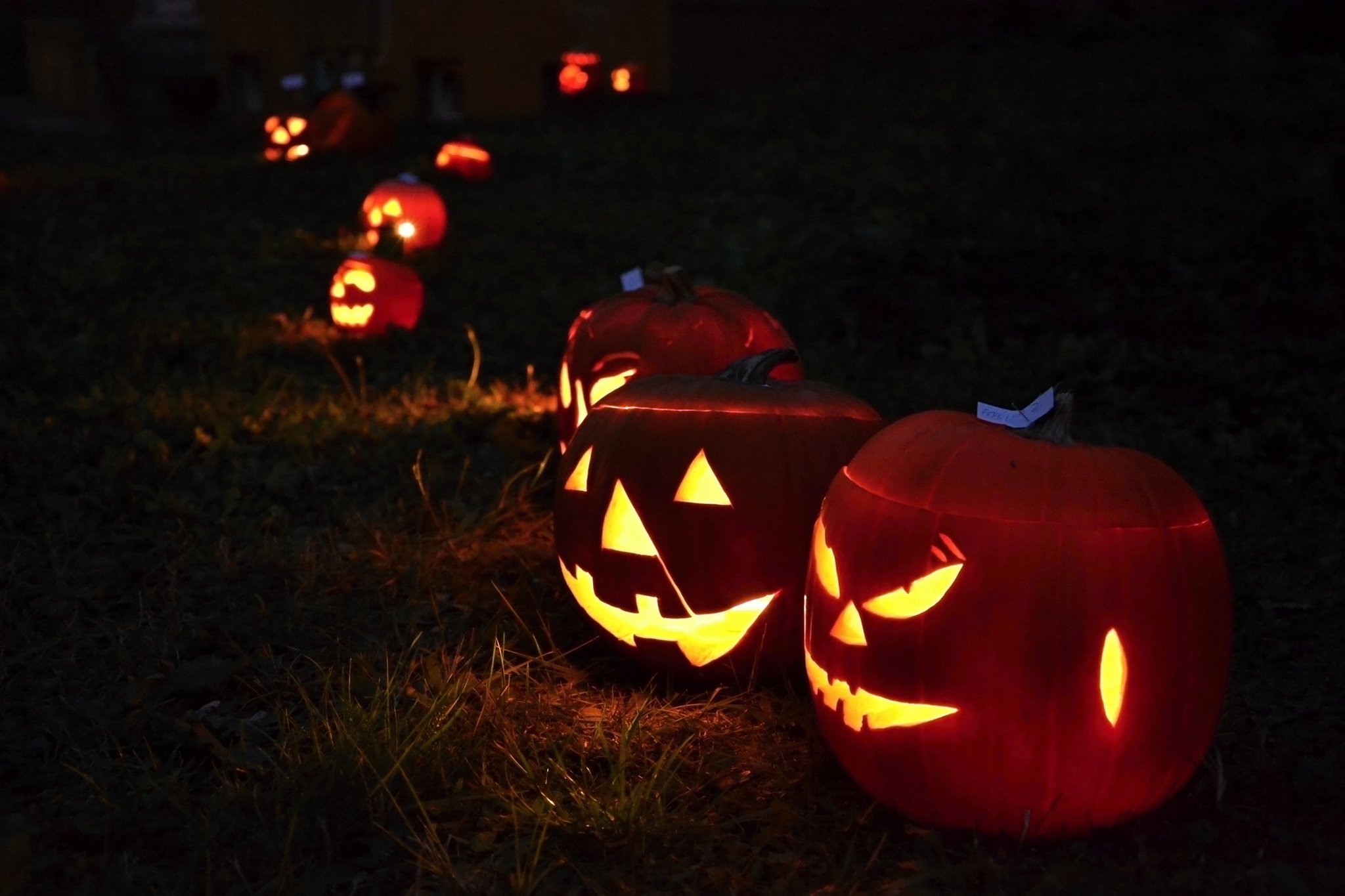 halloween, Citrouille, Pumpkin Wallpaper