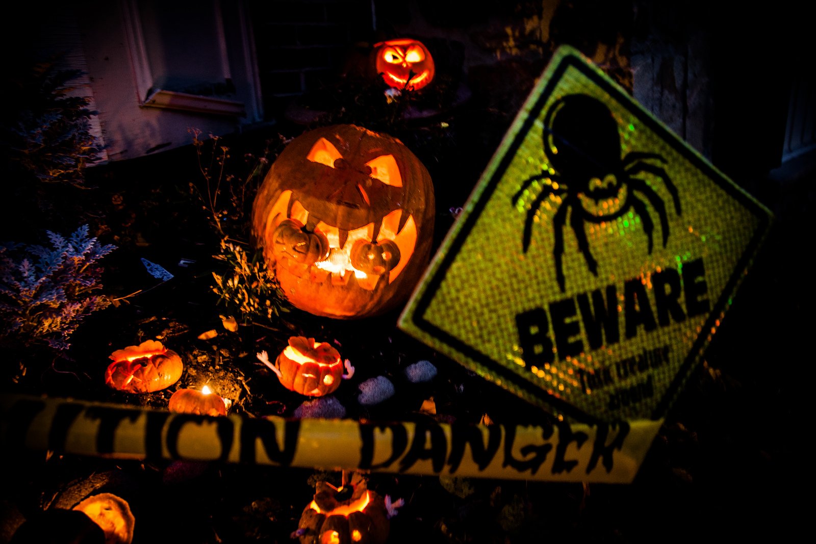 halloween, Citrouille, Pumpkin Wallpaper