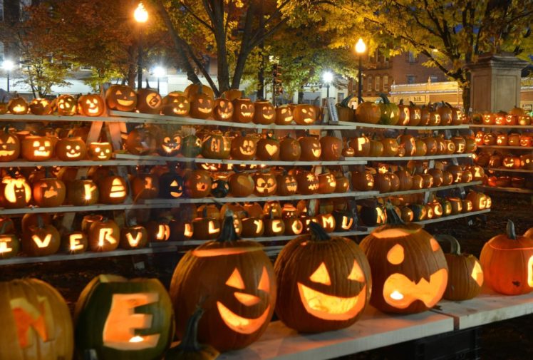 halloween, Citrouille, Pumpkin HD Wallpaper Desktop Background