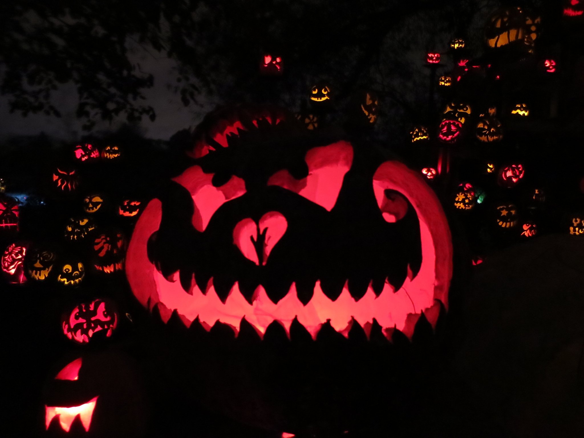 halloween, Citrouille, Pumpkin Wallpaper