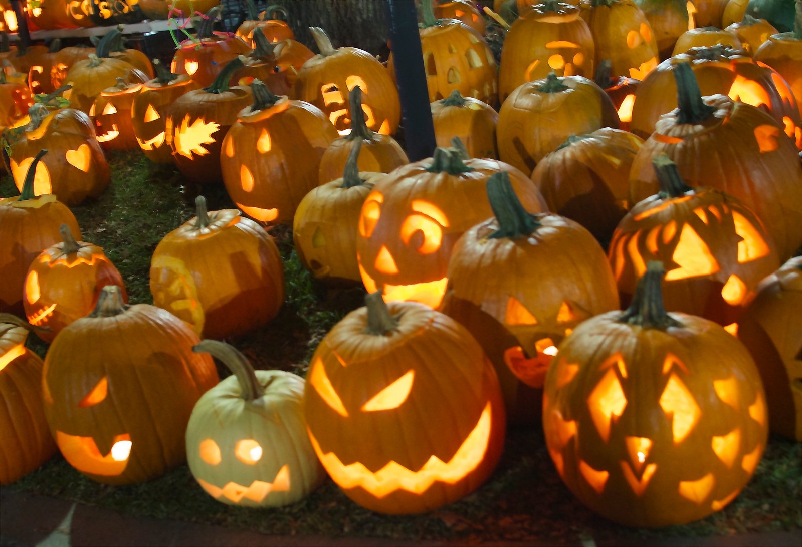 halloween, Citrouille, Pumpkin Wallpaper