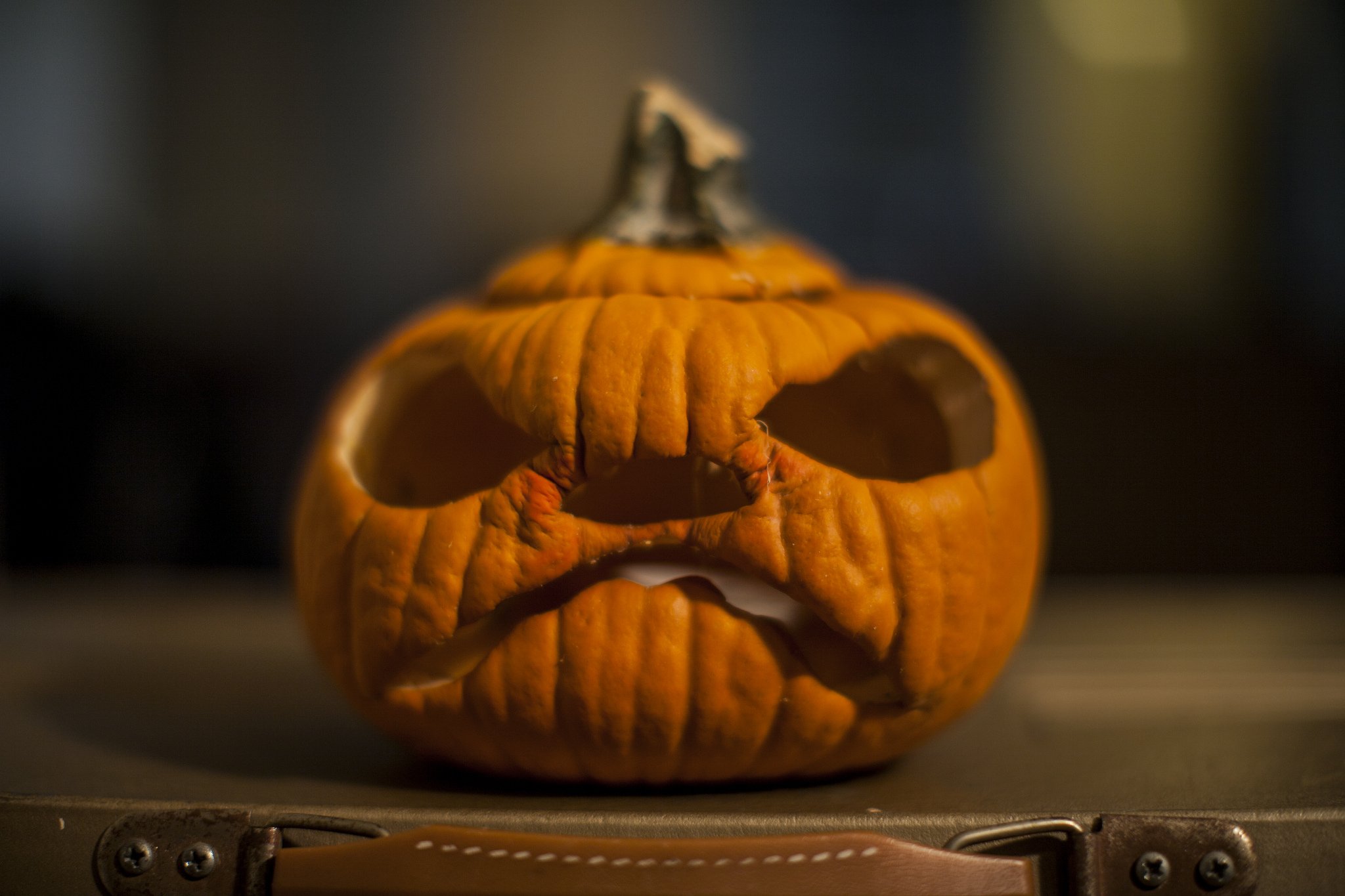 halloween, Citrouille, Pumpkin Wallpapers HD / Desktop and Mobile ...