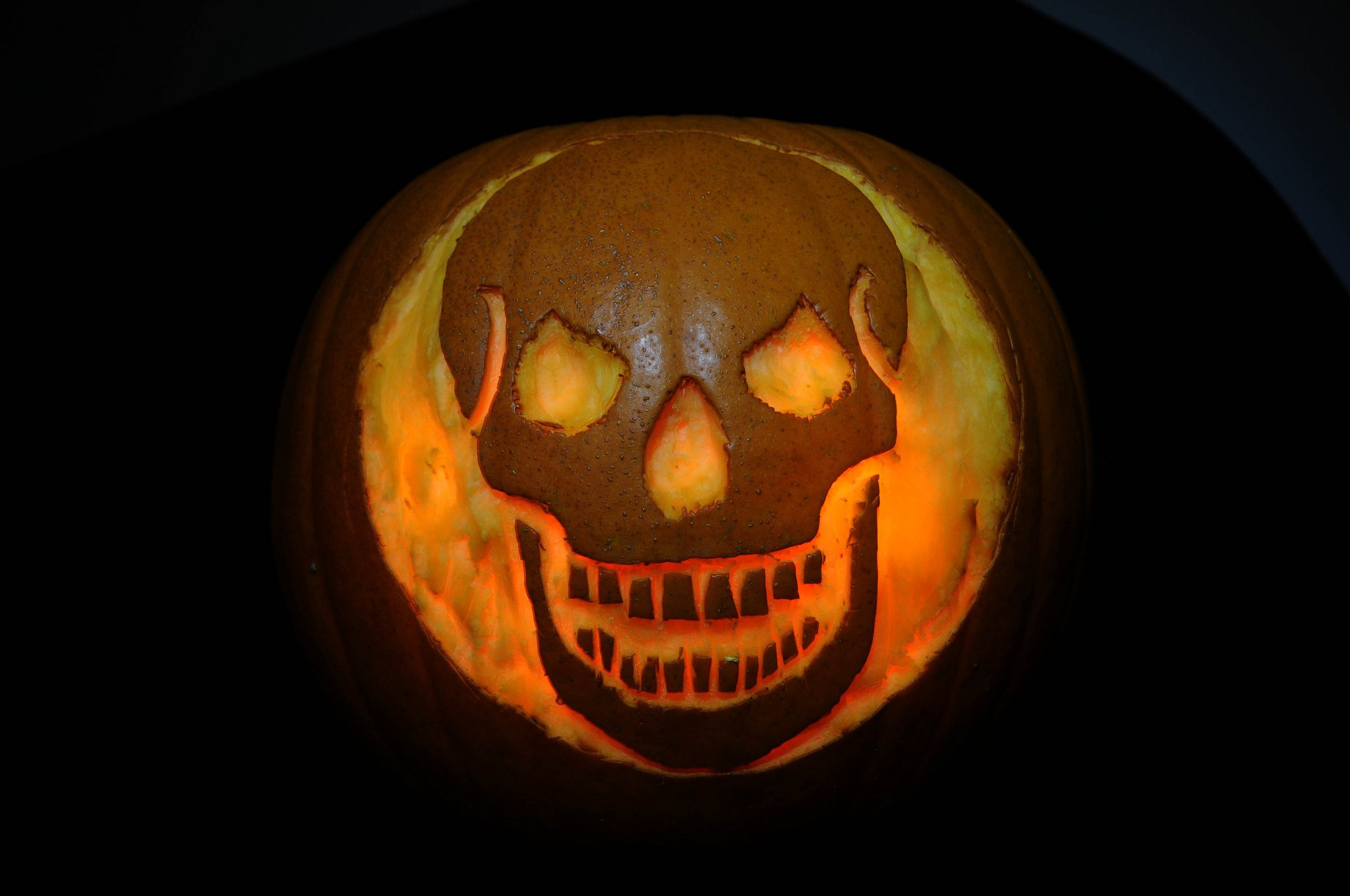 halloween, Citrouille, Pumpkin Wallpaper