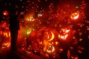 halloween, Citrouille, Pumpkin
