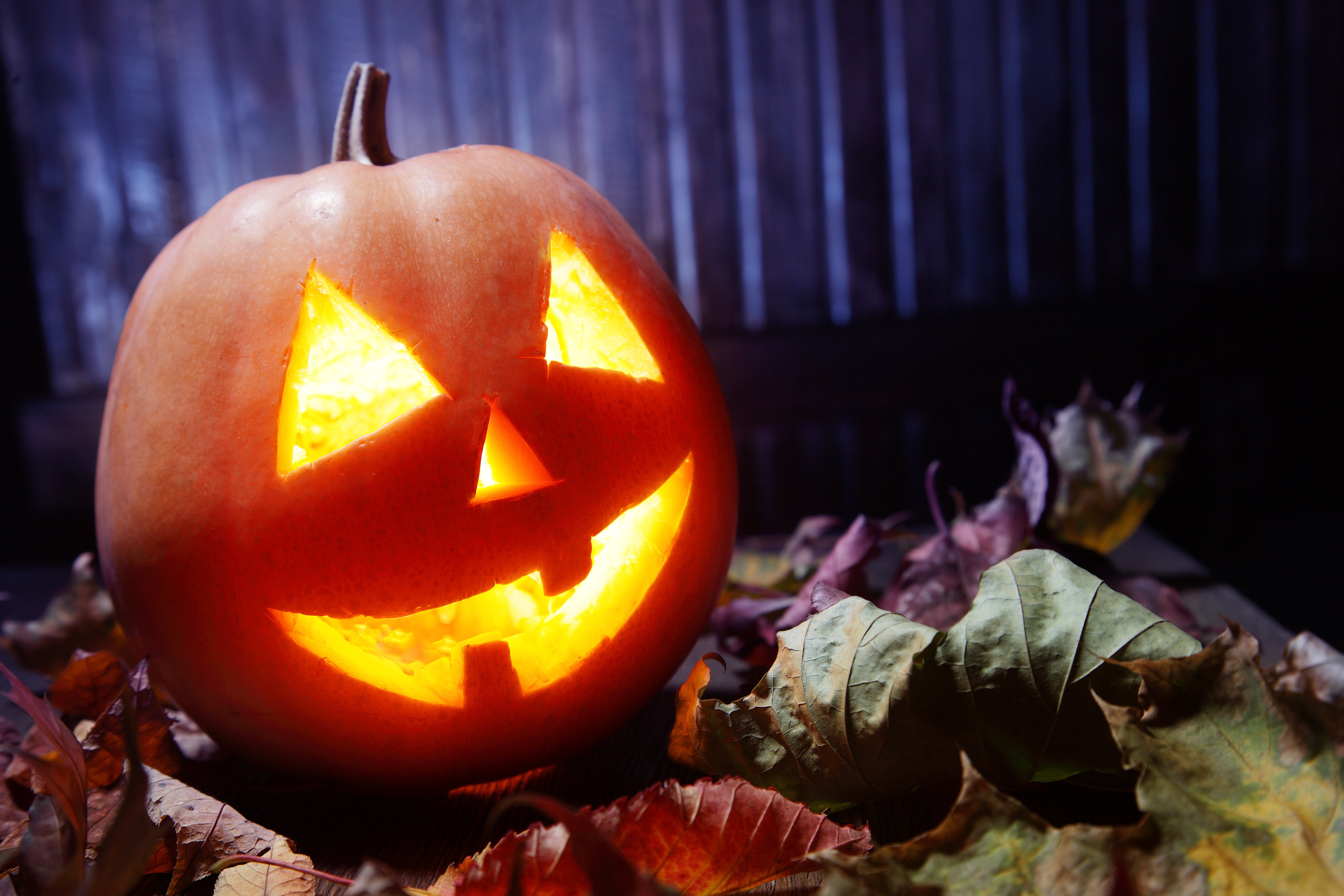 halloween Wallpaper