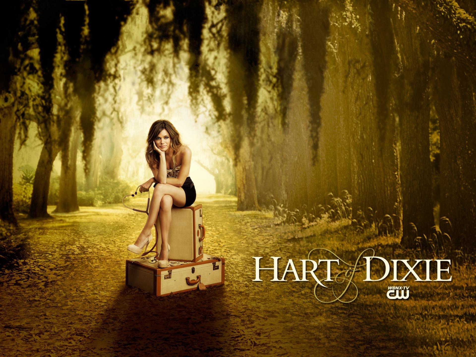 hart, Of, Dixie, Series, Comedy, Drama, Romance, Medical Wallpaper