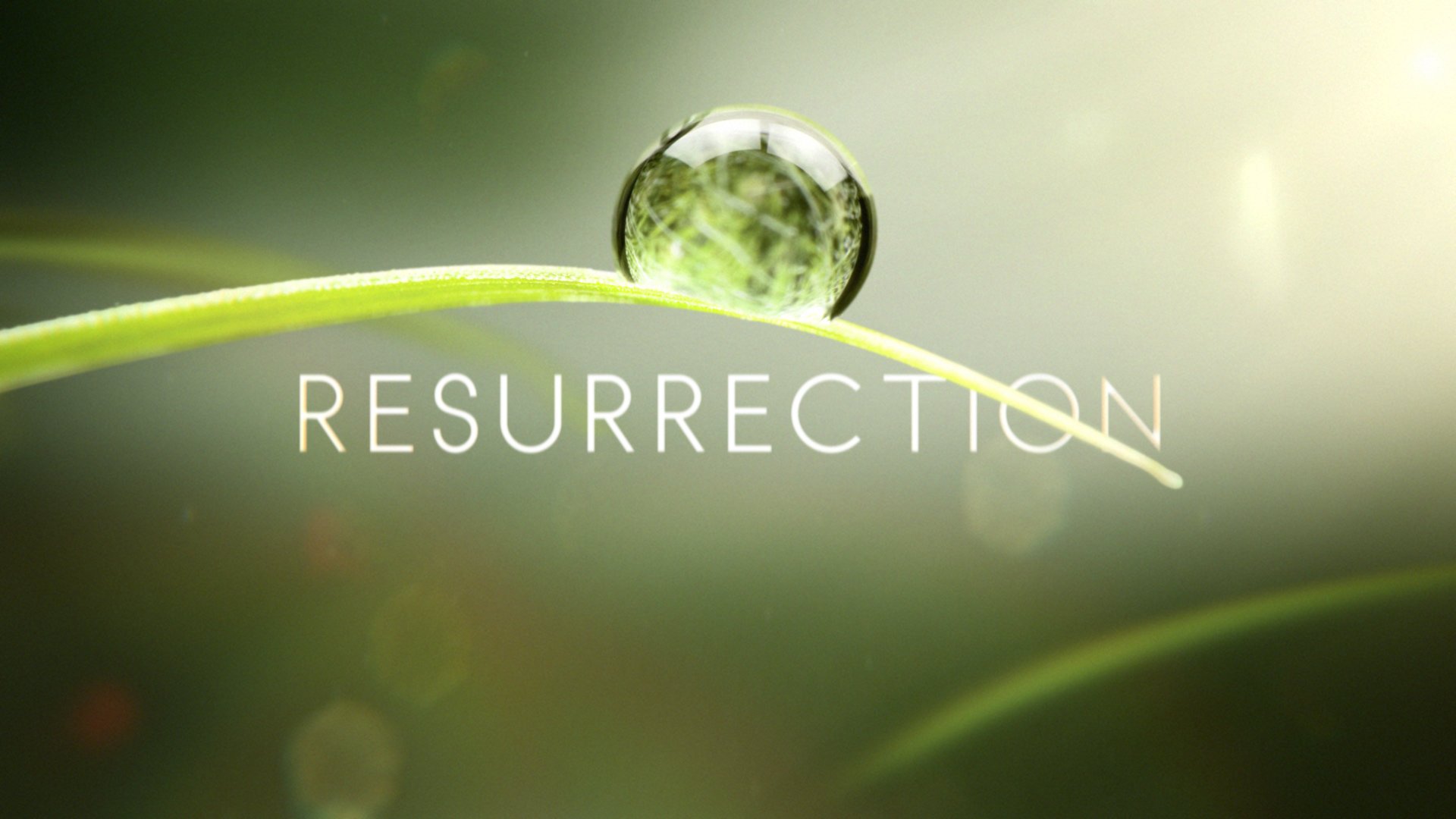 resurrection, Drama, Fantasy, Supernatural, Series Wallpaper
