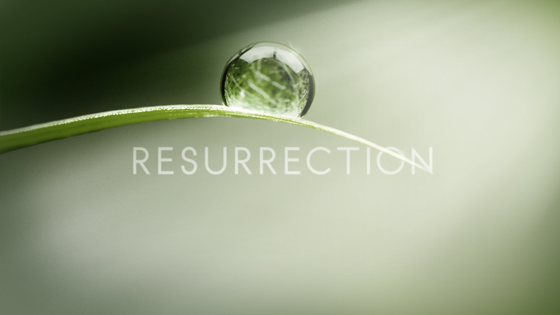 resurrection, Drama, Fantasy, Supernatural, Series Wallpaper
