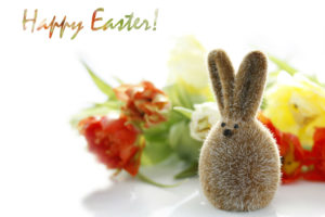 holidays, Easter, Rabbit