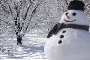snowman, Winter, Trees, Snow, Landscape, Nature, Christmas