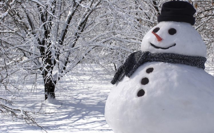 snowman, Winter, Trees, Snow, Landscape, Nature, Christmas HD Wallpaper Desktop Background