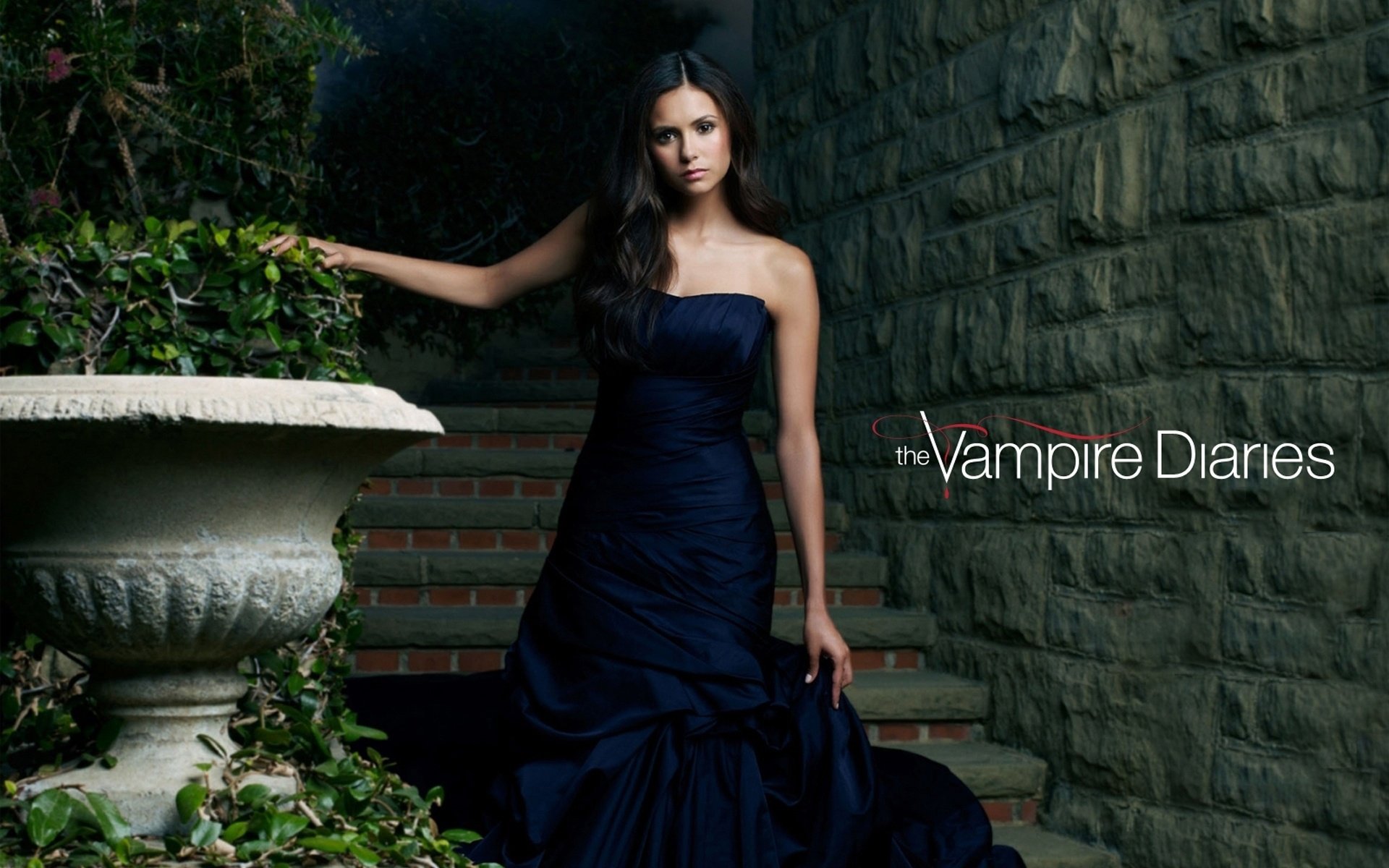 vampire, Diaries, Tv, Serie, Show, Nina, Dobrev, Paul, Wesley, Ian, Somerhalder Wallpaper