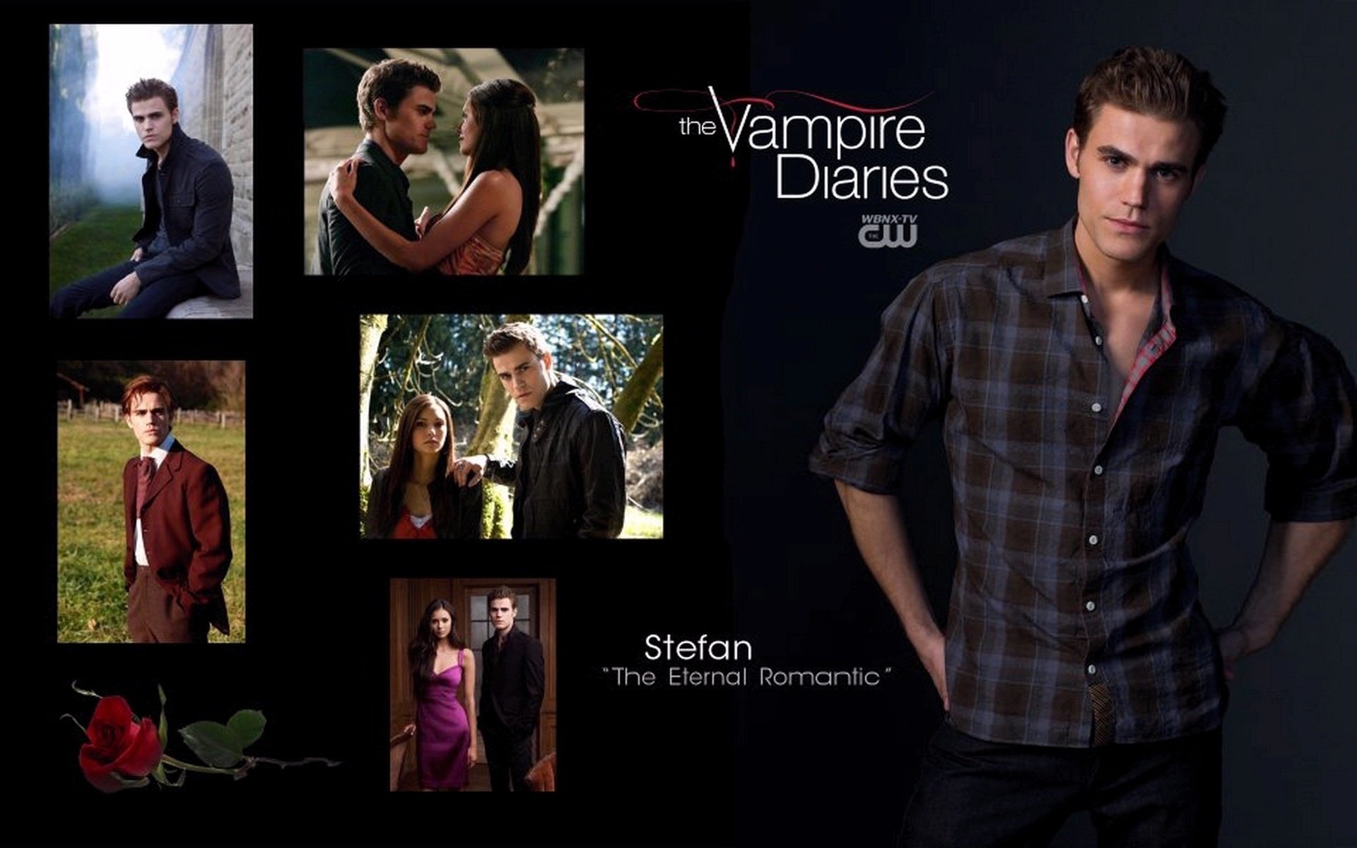 vampire, Diaries, Tv, Serie, Show, Nina, Dobrev, Paul, Wesley, Ian, Somerhalder Wallpaper