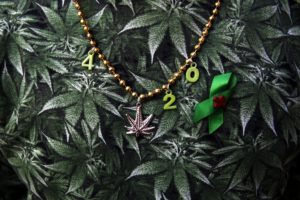 marijuana, 420, Weed, Mary, Jane, Drugs