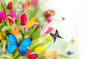 spring, Flowers, Tulips, Butterflies, Bokeh, Art, Summer