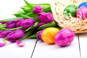 tulips, Purple, Flowers, Spring, Holiday, Easter, Eggs