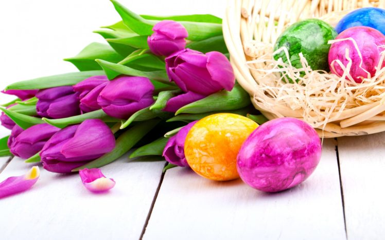tulips, Purple, Flowers, Spring, Holiday, Easter, Eggs HD Wallpaper Desktop Background