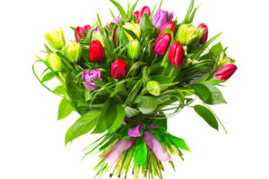 tulips, Flower, Buds, Bouquet, Ribbon, Easter