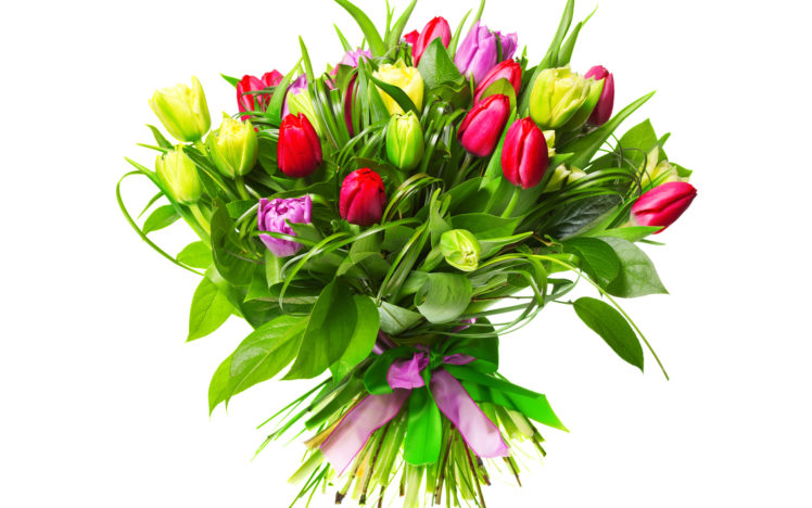 tulips, Flower, Buds, Bouquet, Ribbon, Easter HD Wallpaper Desktop Background
