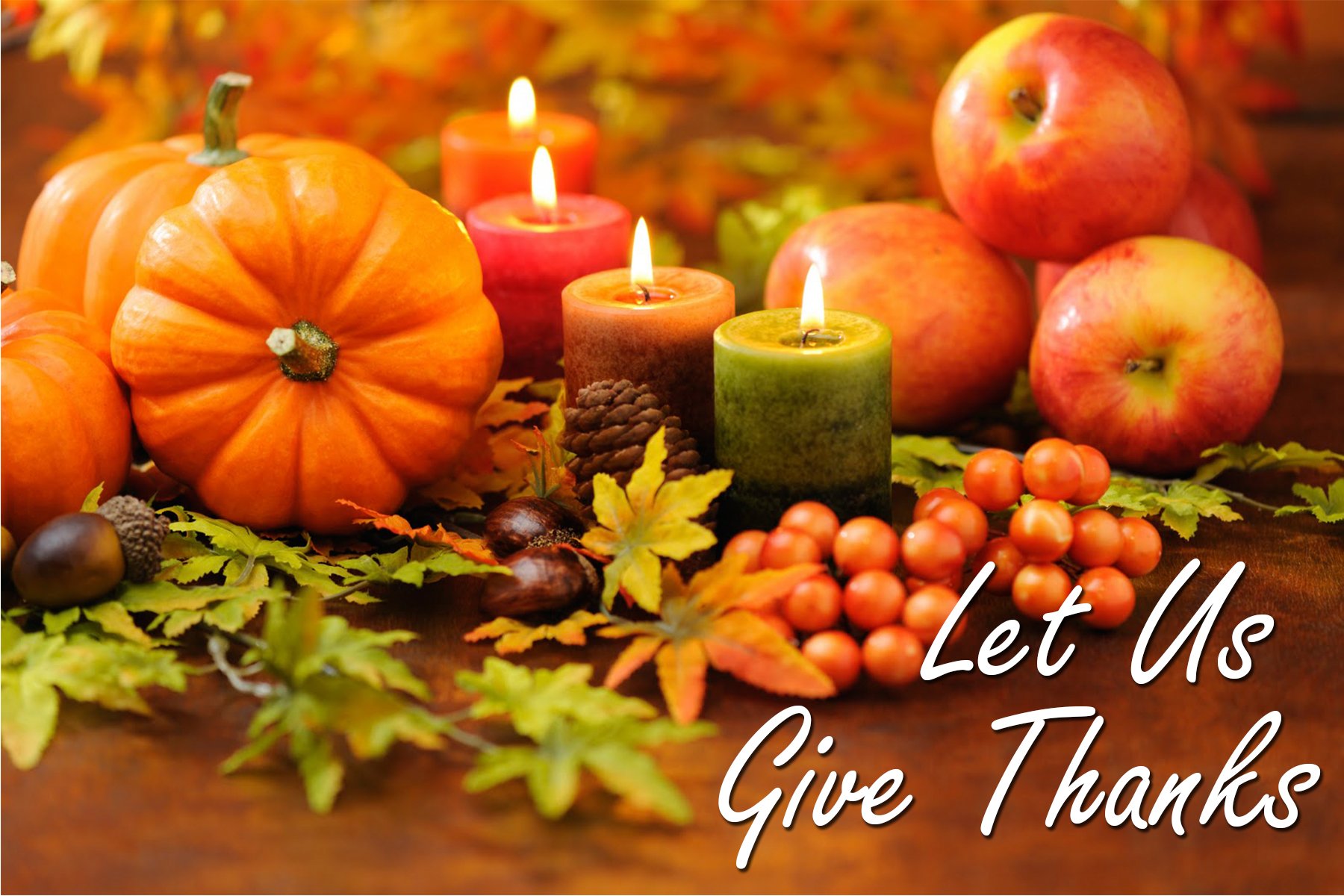 thanksgiving, Holiday, Autumn, Turkey Wallpapers HD / Desktop and