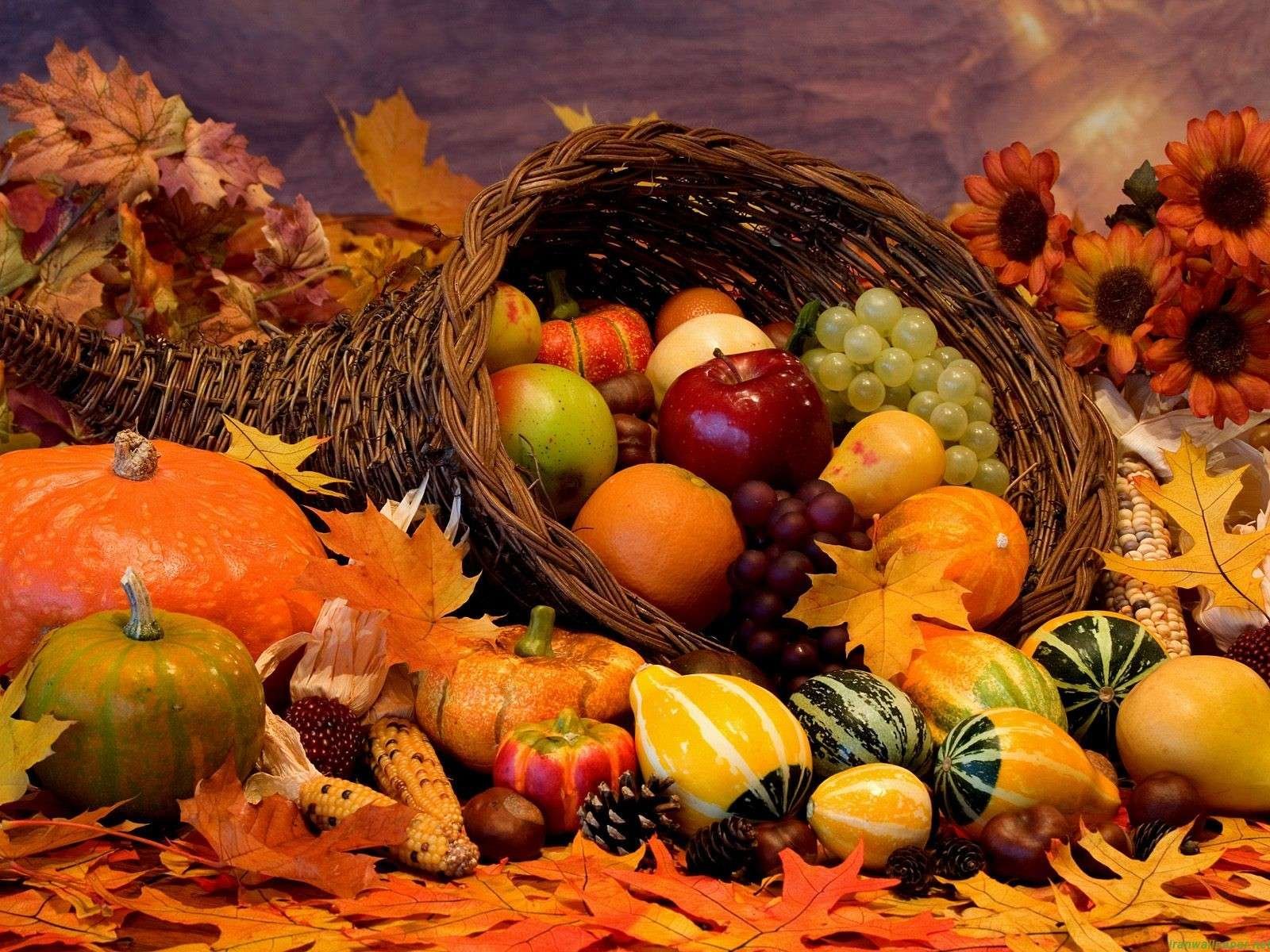 thanksgiving, Holiday, Autumn, Turkey Wallpaper