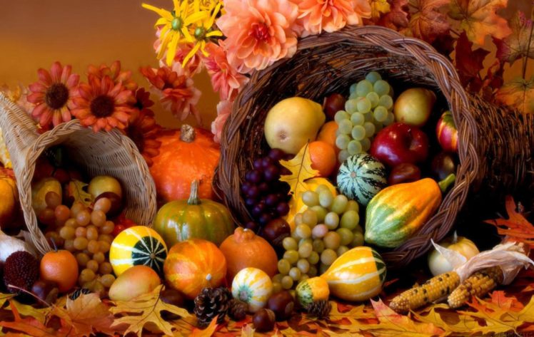 thanksgiving, Holiday, Autumn, Turkey HD Wallpaper Desktop Background