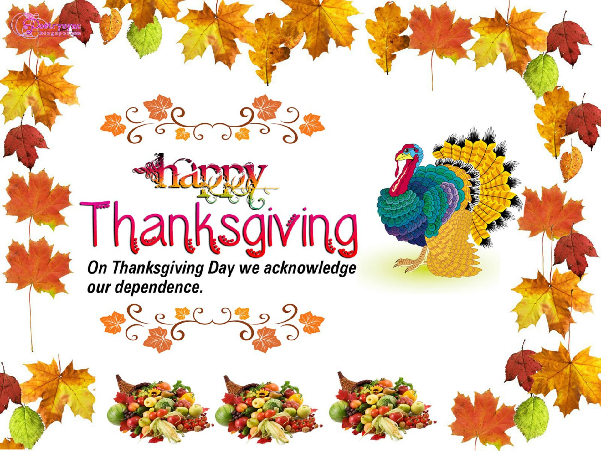 thanksgiving, Holiday, Autumn, Turkey Wallpaper