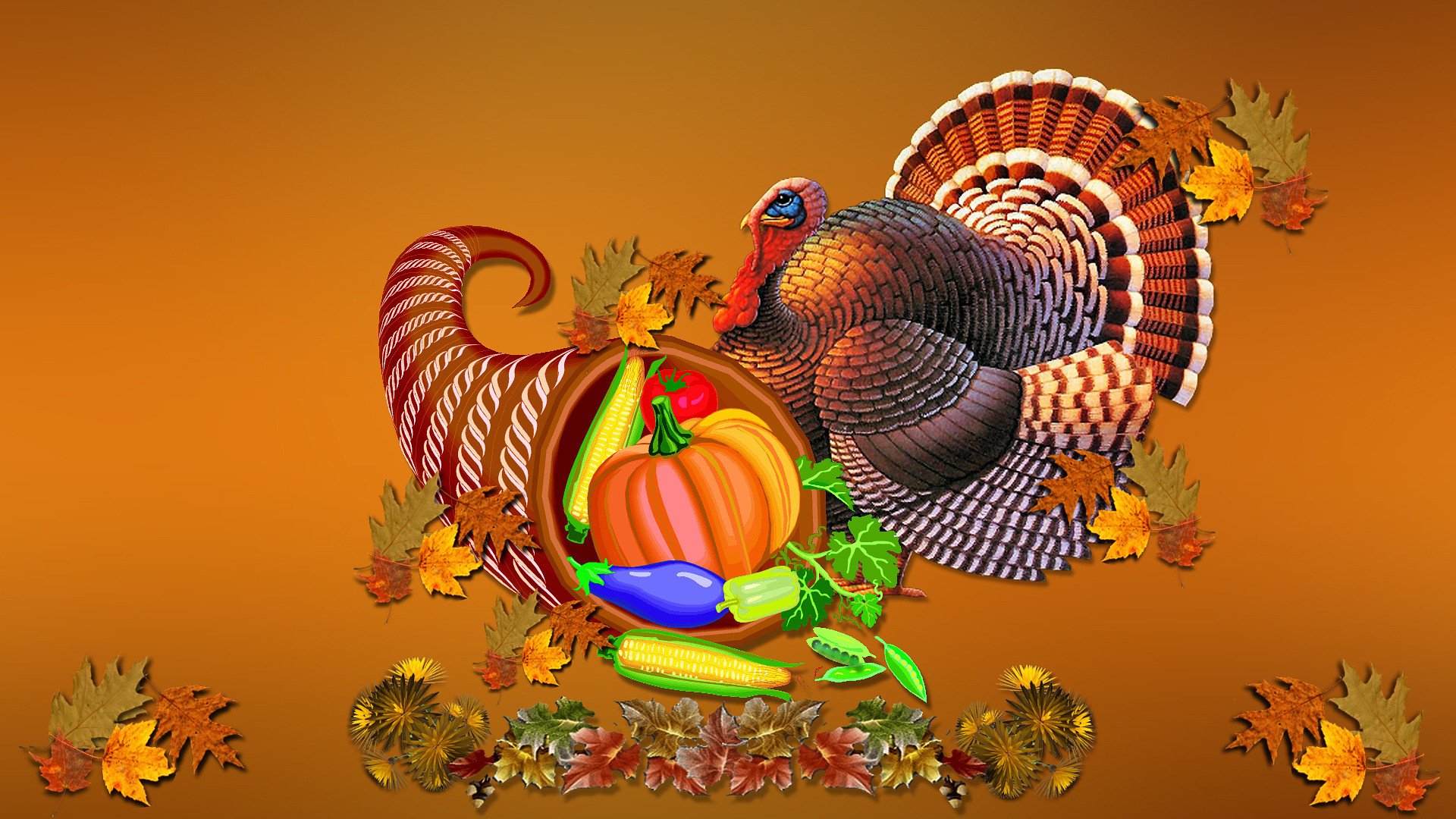 thanksgiving, Holiday, Autumn, Turkey Wallpaper