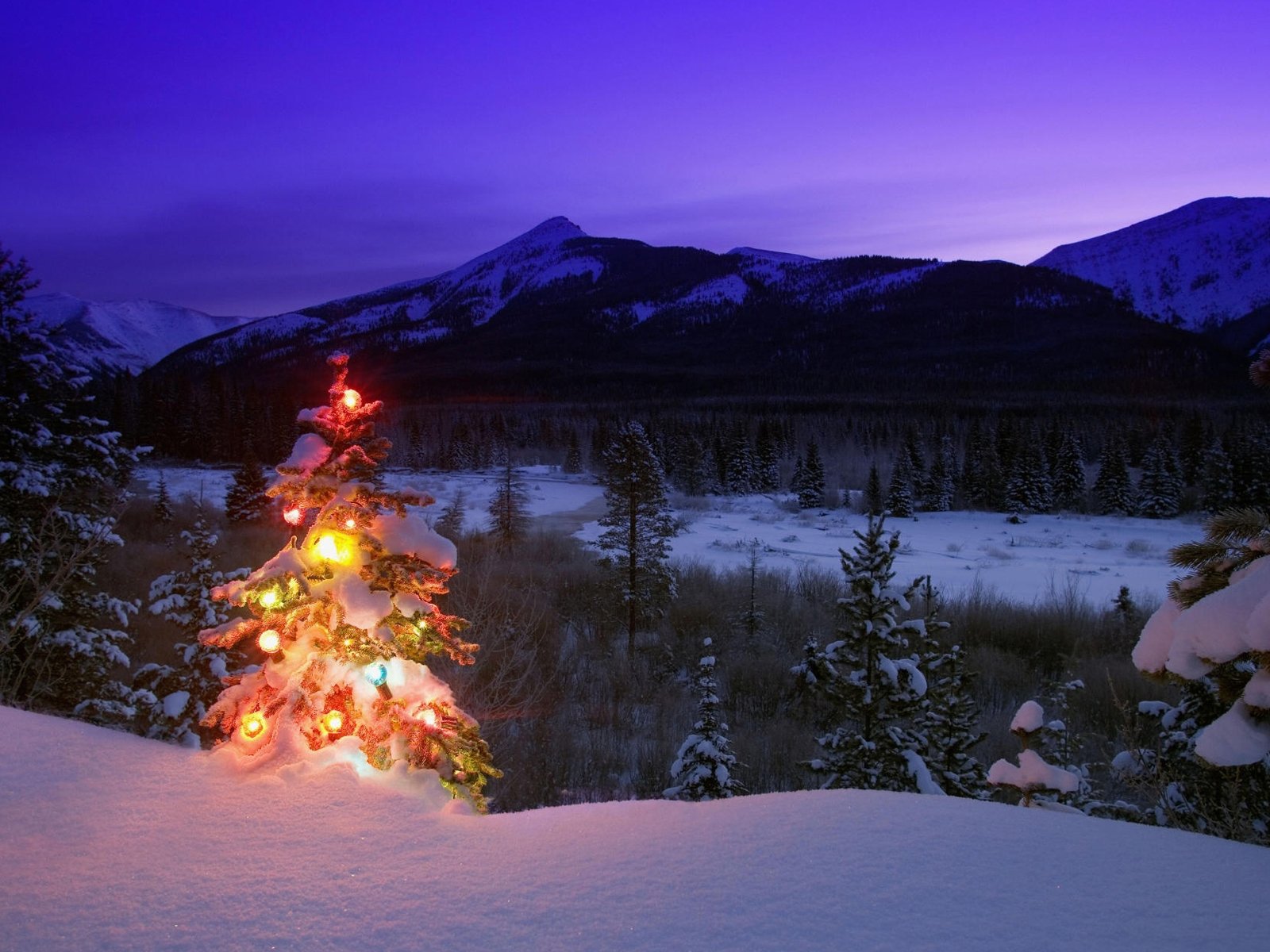 merry, Christmas, Holiday, Vacation, Gifts, Tree, Happy, Beautiful, Santa, Snowman, Lights Wallpaper