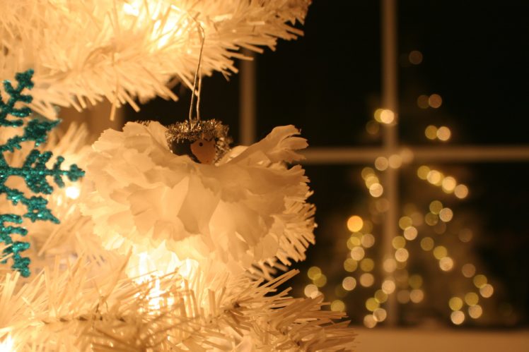 holiday, Christmas, Lights, Decoration, Festive, Christmas, Tree HD Wallpaper Desktop Background