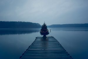 lake, Water, Sun, Forest, Clouds, Trees, Lights, Christmas, Tree