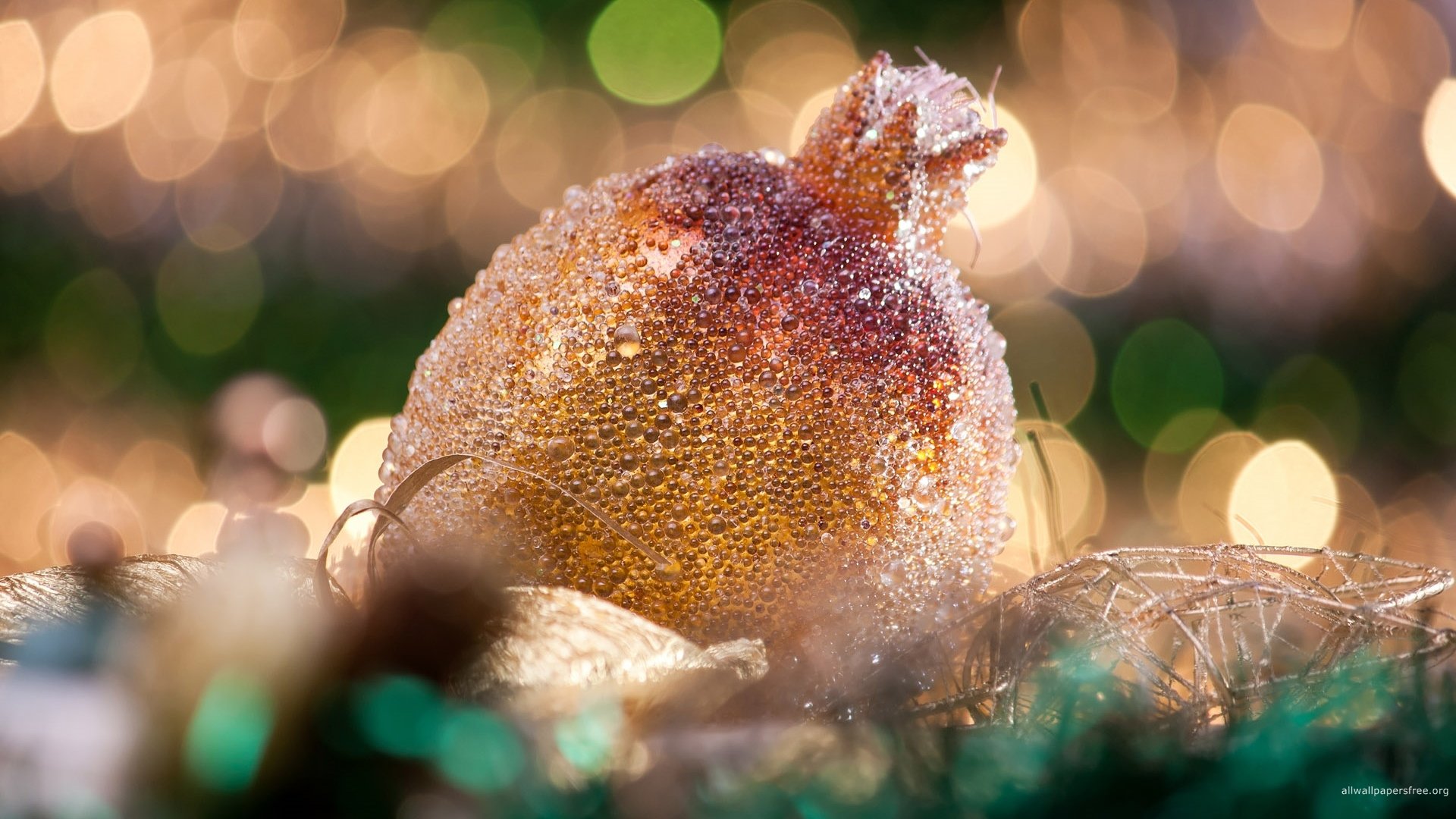 merry, Christmas, Holiday, Winter, Snow, Beautiful, Tree, Gift, Santa Wallpaper