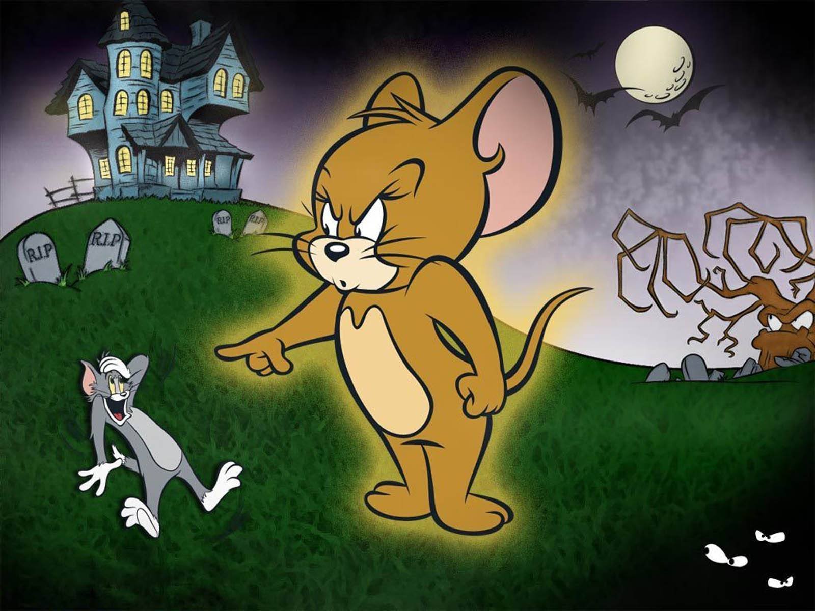 tom, Jerry, Animation, Cartoon, Comedy, Family, Cat, Mouse, Mice, 1tomjerry Wallpaper