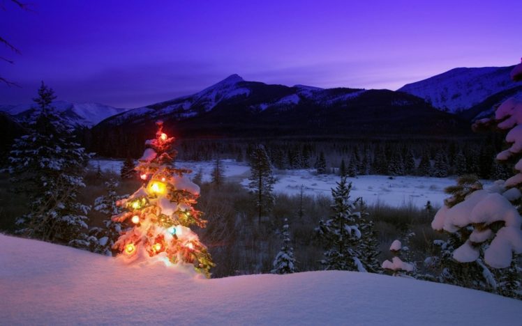 christmas, Trees, Snow, Landscapes HD Wallpaper Desktop Background