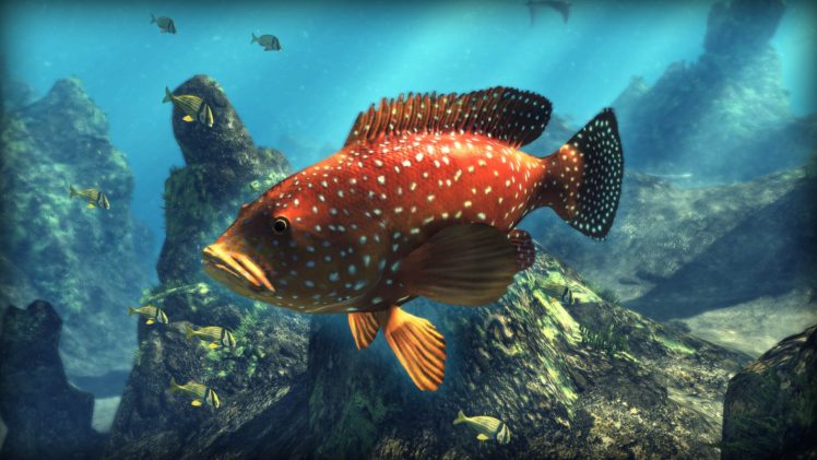 depth, Hunter, Fishing, Fish, Hunting, Adventure, Action, Underwater, Sea, Ocean, 1depth HD Wallpaper Desktop Background