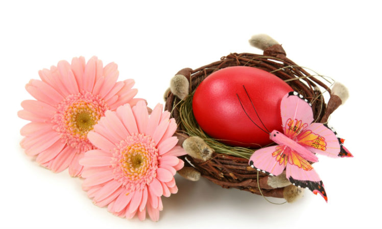 holidays, Easter, Butterflies, Gerberas, Eggs HD Wallpaper Desktop Background